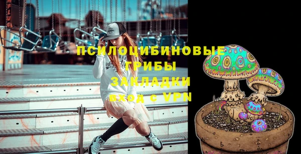 твердый Алексеевка