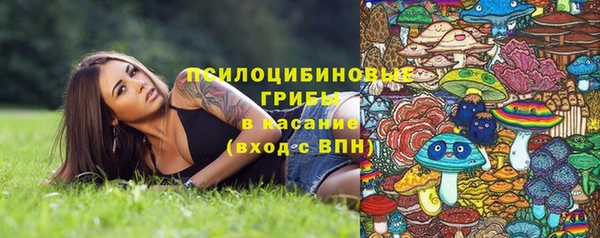 мяу мяу мука Алексин