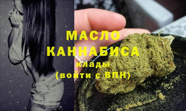 стаф Ельня