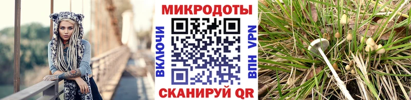 Галлюциногенные грибы GOLDEN TEACHER  kraken ONION  Сыктывкар 