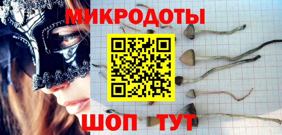 где купить   Галлюциногенные грибы Cubensis  Сыктывкар  Вход с VPN  Галлюциногенные грибы Cubensis 
