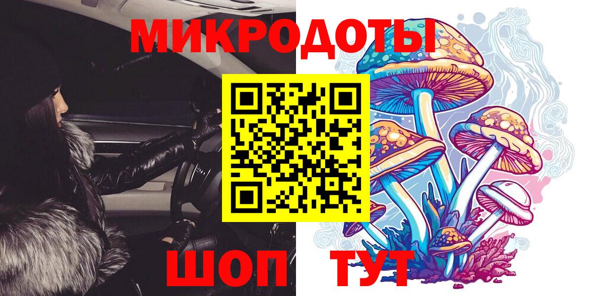 Галлюциногенные грибы Psilocybe Сыктывкар